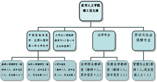 组织结构图